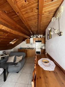 a living room with a couch and a wooden ceiling at Casa Campaner in Valencia de Aneu