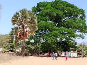 a group of people walking on a beach with a palm tree at SEN-CASA- TOURiSME in Kabadio