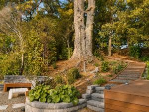 a garden with a bench and a tree at Pine Grove Retreat in Auckland