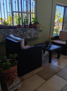 a living room with a couch and a table with potted plants at Casita Verde in Mazatlán