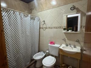 a bathroom with a toilet and a sink and a shower at Departamento Jumace in Federación