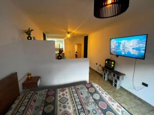a bedroom with a bed and a flat screen tv at Departamento Las Golondrinas in Estación Coronel Maldonado