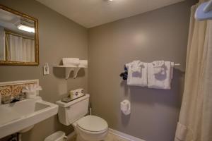 a bathroom with a toilet and a sink and a mirror at Downtown Four Poster Piedmont in Eureka Springs +57 photos