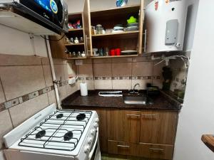 a small kitchen with a stove and a sink at Departamento Las Golondrinas in Estación Coronel Maldonado