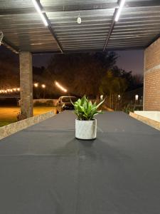a potted plant sitting on a table under a parking garage at Los Romanos farm in Sauce Bajada +2 photos