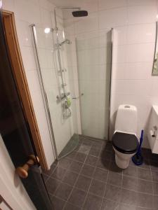 a bathroom with a shower and a toilet at Sjöutsikt med bastu som tillval in Tällberg +15 photos