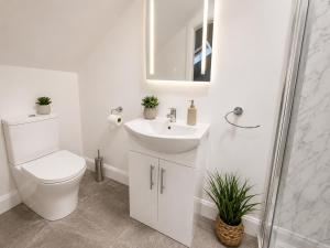 a white bathroom with a toilet and a sink at Charlettes Lodge in Cobh +13 photos