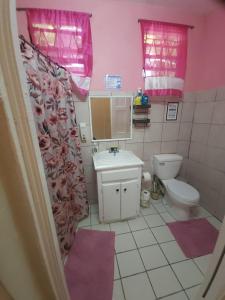 a bathroom with a toilet and a sink at Hilltop View Guesthouse in Castries +41 photos