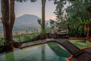 a plunge pool in a garden with a wooden bridge at Jiva Bali - Green Dream Suites in Selat