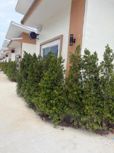 a row of bushes in front of a building at โรงแรม นีโอ รีสอร์ท in Ban Thap Nang