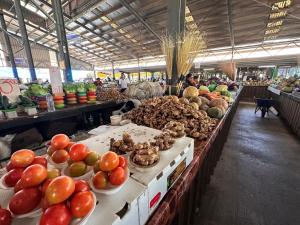 a market with many different types of fruits and vegetables at DELAILOA ADVENTURES Homestay with Tom in Nadi