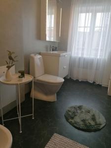 a bathroom with a toilet and a sink at Hudiksvall Apartment Service # 4 in Hudiksvall
