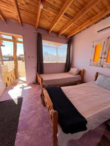 a bedroom with two beds in a room at ACACIA Camp in Nuweiba