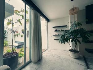 ein Zimmer mit Topfpflanzen und einer Glasschiebetür in der Unterkunft Casa Mangle in Tepic