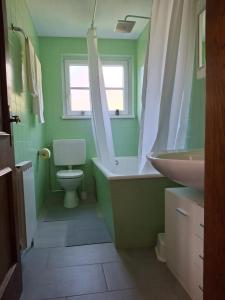 a green bathroom with a toilet and a sink at Ferienwohnung Edith-Maria in Bad Goisern +17 photos