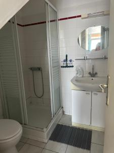a bathroom with a shower and a toilet and a sink at Gite aux grès des vents in Champeaux +7 photos