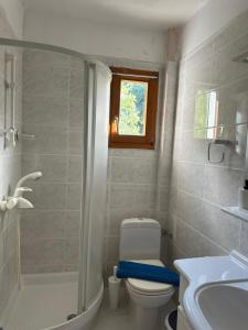 a bathroom with a toilet and a shower and a sink at Natasa private garden apartment in Polychrono