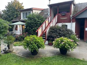 a house with three potted plants in the yard at Lille Degnboel Tiny House in Hjørring +14 photos
