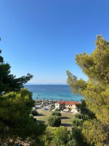 a view of the ocean from a hill with trees at Natasa private garden apartment in Polychrono