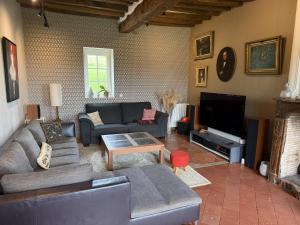 a living room with a couch and a tv at Manoir de Cottentray Charming Manor in Avesnes-en-Bray