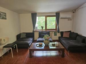 a living room with a couch and a table at HOSTEL SPORT BUCHAREST in Bucharest