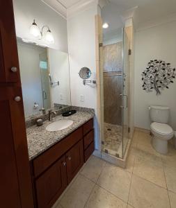 a bathroom with a sink and a shower and a toilet at Designer Garden Retreat in San Jose +16 photos