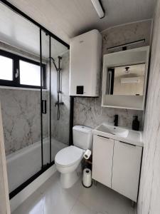 ein Badezimmer mit Toilette, Waschbecken und Dusche in der Unterkunft Tiny House Doi Frați in Drăguş + 47 Fotos