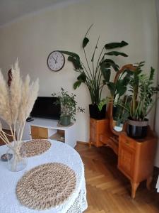 a room with potted plants and a table and a clock at Apartament Deptak Sądecki in Nowy Sącz