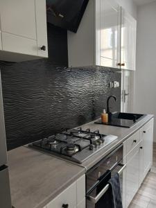 a kitchen with a stove top oven in a kitchen at Apartament Biała Przystań in Nowy Sącz +6 photos