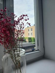 a vase filled with flowers sitting on a window sill at Apartament Biała Przystań in Nowy Sącz