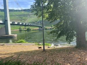 a bridge over a river with some dogs on the shore at Ferienwohnung 4 in Bernkastel-Kues