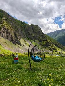 a basket in a field with a mountain in the background at Gudika • გუდიკა in Sno