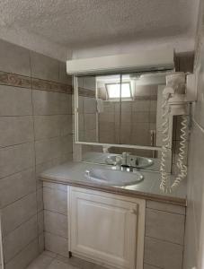 a bathroom with a sink and a mirror at Hôtel Le Robinson in Beaucaire