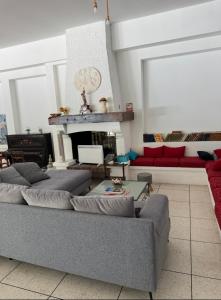a living room with a couch and a fireplace at Hôtel Le Robinson in Beaucaire +3 photos