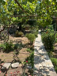 a garden with a pathway and some plants and trees at Templa in Himare +6 photos