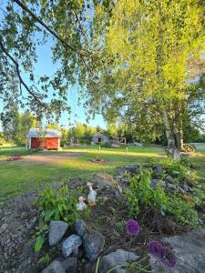 a garden with two stuffed animals sitting in the grass at Stockboden Kvarken Off Grid Cabin No Electricity or Running Water in Oravais +23 photos
