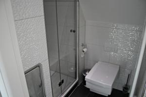 a bathroom with a toilet and a glass shower at Seeperle in Dranske