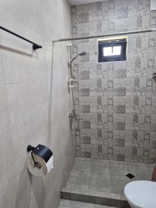a bathroom with a shower with a toilet and a sink at Cottage in Tskhvarichamia forest 2 in Tsʼkhvarichamia
