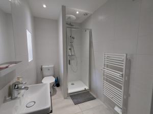 a bathroom with a shower and a sink and a toilet at Le Petit Forez, Cosy et Authentique in Saint-Bonnet-le-Château