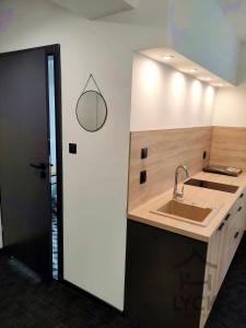a bathroom with a sink and a mirror on the wall at Lyck Aparthotel in Ełk +26 photos