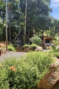 a small house in the middle of a yard with bushes at Jungle Nest Ella in Ella