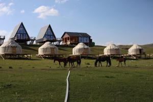 a group of horses walking in a field with domes at Yurt Camp by Fly Service in Song-Kul