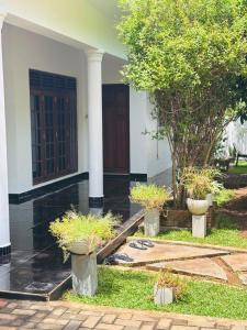 a house with two potted plants in front of it at Boom Town Villa - Anuradhapura in Anuradhapura