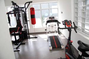a room with a gym with a treadmill and a exercise bike at 2 bedroom Apartment Lekki Ovation Terrace and extra room in Lekki