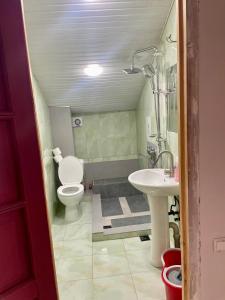 a bathroom with a toilet and a sink at Tbilisi Vera in Tbilisi City +28 photos