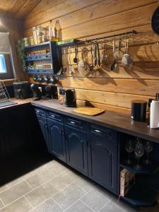 a kitchen with blue cabinets and a wooden wall at 87 Loch Murray in Creetown