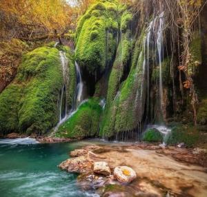 a waterfall in a forest next to a river at MarLee Lake Home in Castel San Vincenzo