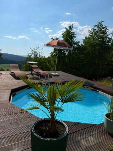 a potted plant sitting on a deck next to a pool at Ferienhof Hofmann in Böbrach