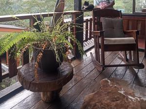 a potted plant sitting on a porch with a chair at Paz y Tranquilidad in Marsella