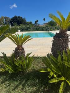 a swimming pool with two palm trees in front of it at Villa ArboreA in Squinzano